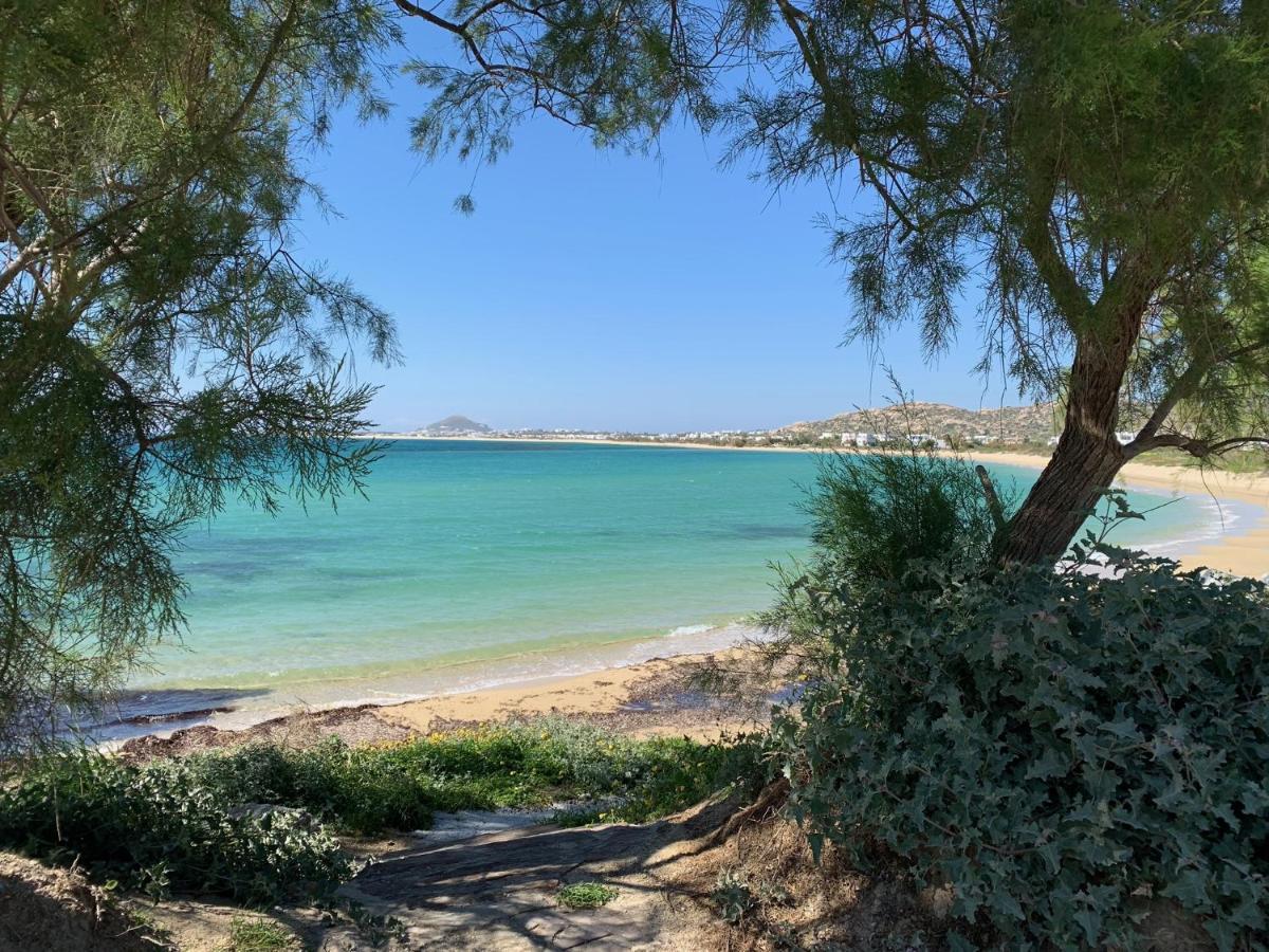 Villa Paradise In Naxos Pláka Exteriör bild