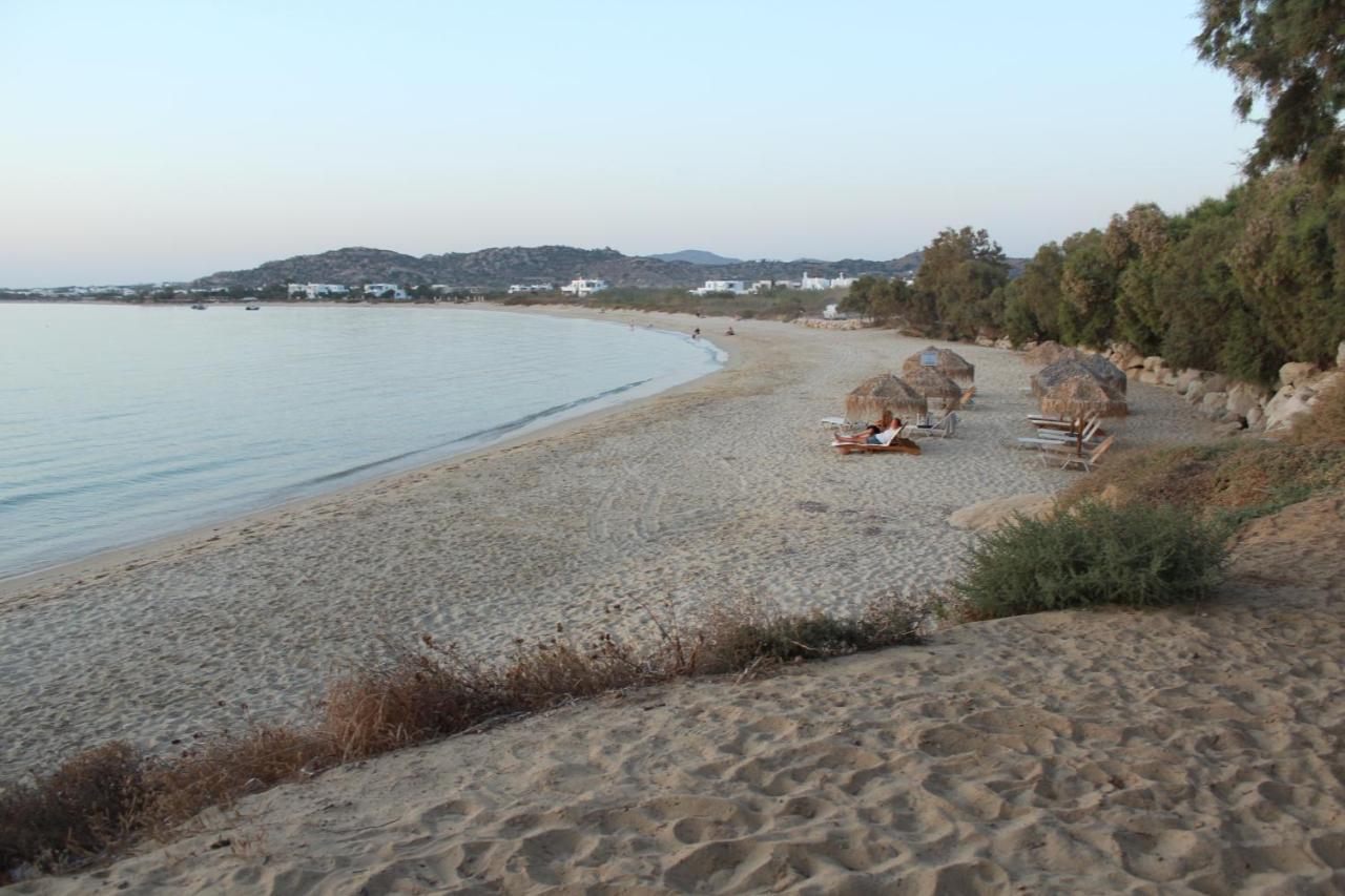 Villa Paradise In Naxos Pláka Exteriör bild